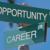 How to Start Career Counseling Business